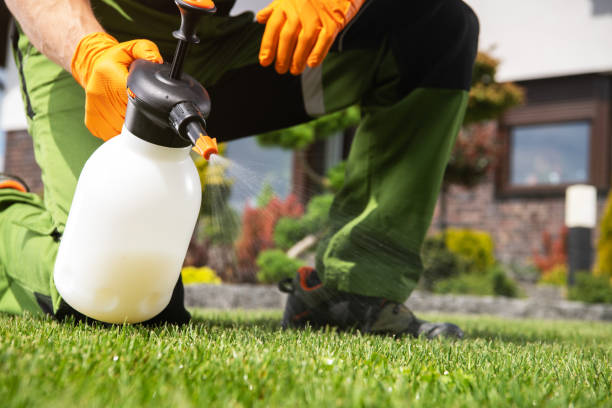 Trusted Pemberville, OH Pest Control Experts